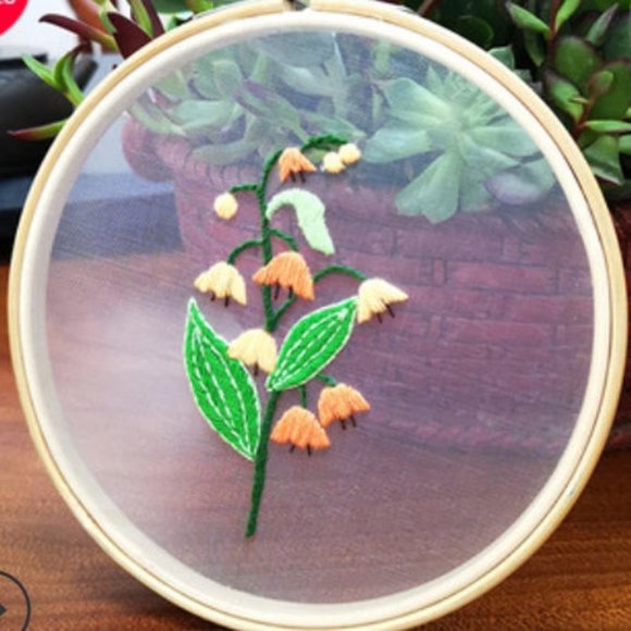 Transparent Floral DIY Embroidery Kit, Beginner - Picture 1 of 1